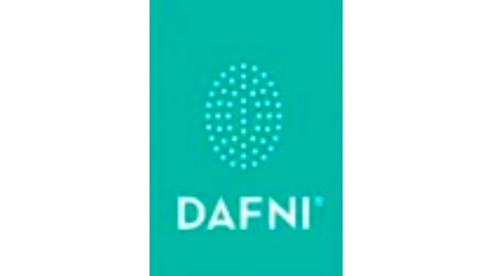 DAFNI，世界第一款直發(fā)梳