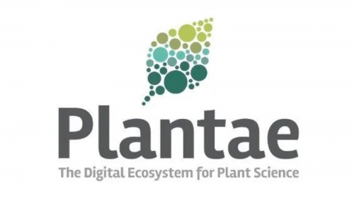 Plantae BioSciences,加速發展以創建新的以工廠為中心的解決方案